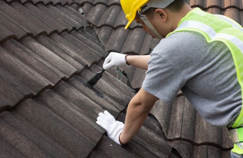Specialty Roofing Specialists